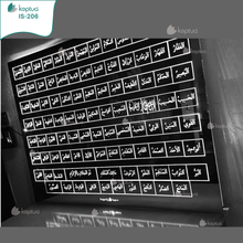 Load image into Gallery viewer, IS-206